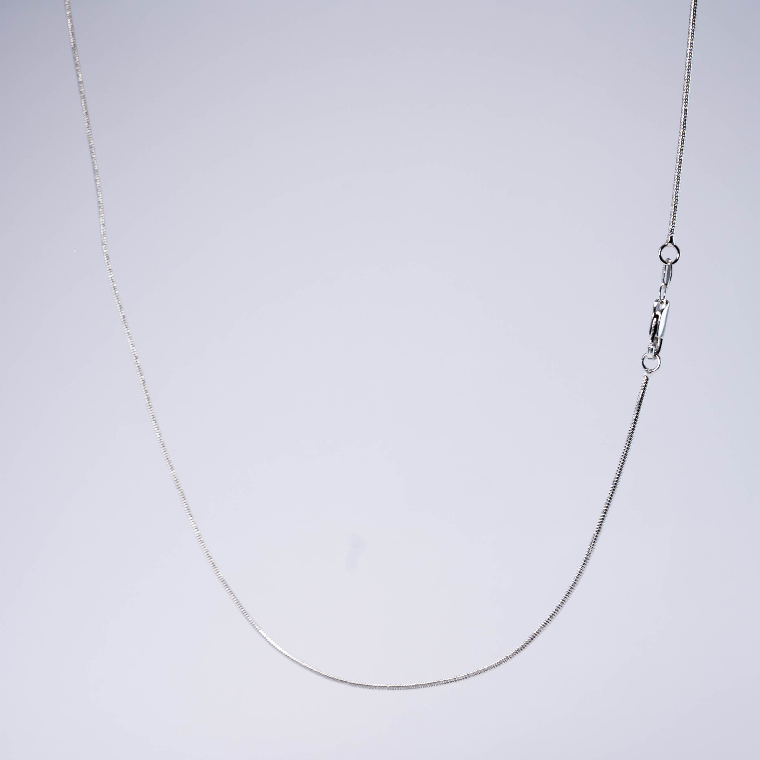 Cadena Serpiente Plateada